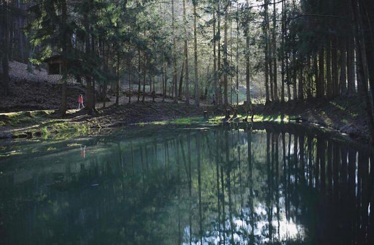 Ferienhaus "Baeren Ecke" Am See Im Bergland Kirchheim  Exteriér fotografie